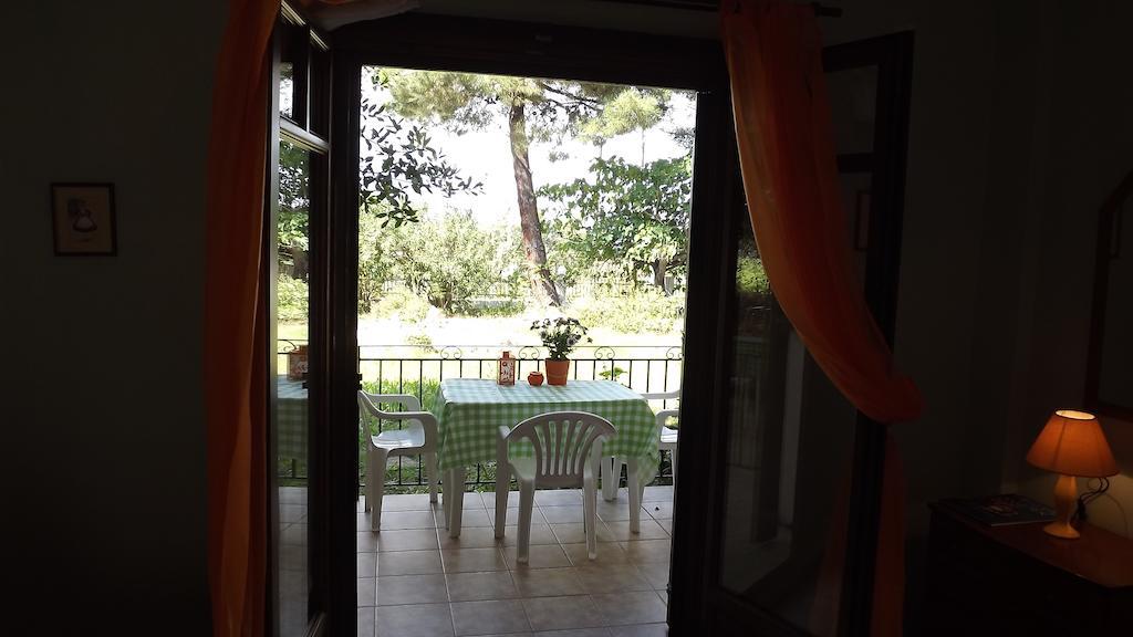 Pefka Studios & Apartments Vourvourou Room photo
